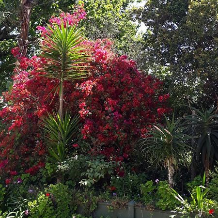 Winterson En Somerkoelte Swellendam Ngoại thất bức ảnh