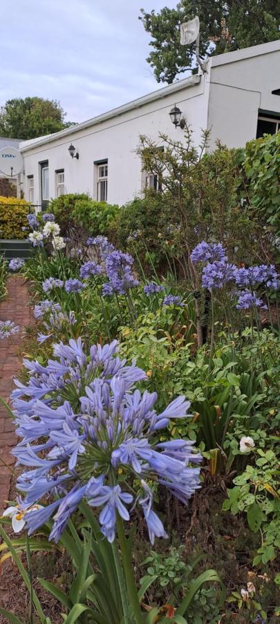 Winterson En Somerkoelte Swellendam Ngoại thất bức ảnh