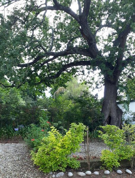Winterson En Somerkoelte Swellendam Ngoại thất bức ảnh